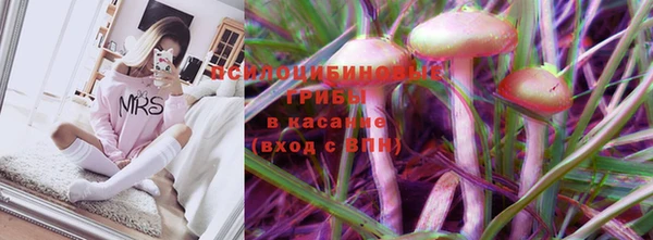 mix Арсеньев