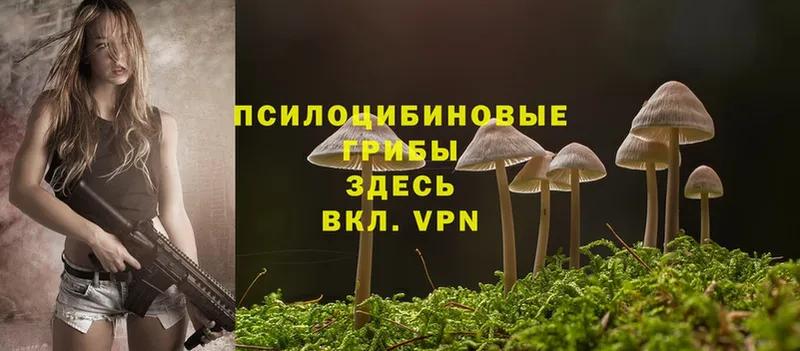 Галлюциногенные грибы MAGIC MUSHROOMS  блэк спрут ТОР  Верхотурье 